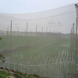 China 40 Mesh 100% HDPE Insect Mesh Netting Non Toxic For Disease Prevention supplier