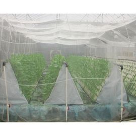 China Plain Weaving Insect Mesh Netting 0.6 * 0.6mm Odorless White For Small Shed supplier
