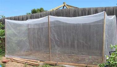 China Silver Grey 45gsm Insect Proof Garden Netting 0.6 * 0.6mm Odorless For Small Shed supplier