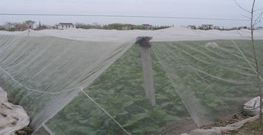 China 55gsm Anti Bird Insect Mesh Netting 100% HDPE Waste Disposal 100 Meters supplier