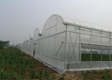 China Easy Install Agricultural Insect Netting , Anti Hail Netting For Greenhouse supplier