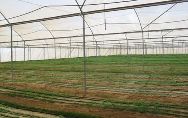 China Customized Insect Mesh Netting Hail Damage Protection 30 To 125 G/M2 Weight supplier
