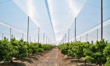 China Agriculture Horticulture Vegetable Science, Crop-Protection-Net, Pest Management, Anti-Insect And Hail Nets Manufacture supplier