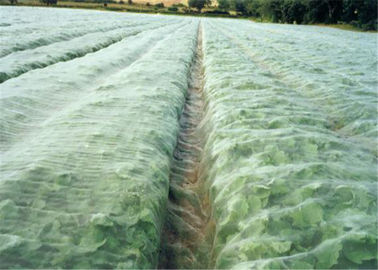 China Agricultural Greenhouse White Fly Screen Netting Anti Aphid For Vegetable supplier