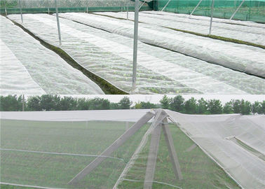 China Clear Agricultural Hail Net Hail Protection Net For Apple Trees Hail Guard Netting Anti Mesh supplier