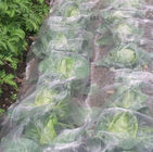 Agricultural Garden White Fly Screen Netting Anti Aphid Insect For Cabbage