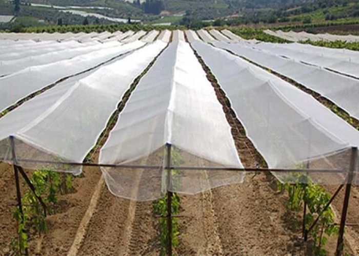 Water Resistance Outdoor Mosquito Netting 1 3 3mm Small Shed Water Resistance Outdoor Mosquito