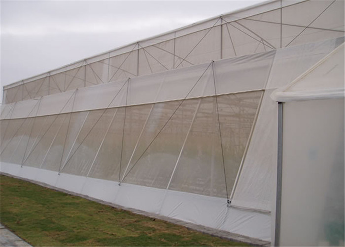 AntiInsect, Anti Hail Mesh Netting, Agriculture, Crop Cover Netting