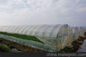 Agriculture Hail Protection Netting For Vegetable Greenhouse Tunnel Farming supplier