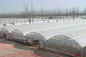 Agriculture Hail Protection Netting For Vegetable Greenhouse Tunnel Farming supplier