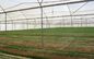 High Tensile Strength Carrot Fly Screen Mesh Insect Protection Netting supplier