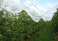 OEM Hail Proof Greenhouse Agricultural Anti Hail Nets For Apple Trees supplier