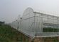 250 Meters 100% HDPE Insect Mesh Netting For Vegetable Greenhouse Agricultural supplier