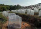 Agricultural Garden Crops Insect Mesh Netting Vegetables Flowers Fruits Cover Insect Proof supplier