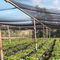 100% new HDPE material agricultural sun green shade net supplier