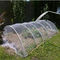 China white greenhouse anti insect barrier net bags nylon net bag for grapes supplier