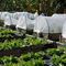 25mesh 45g 45 mesh 100g 50mesh 120g greenhouse mesh net anti insect screen net for gardening planting factory supplier