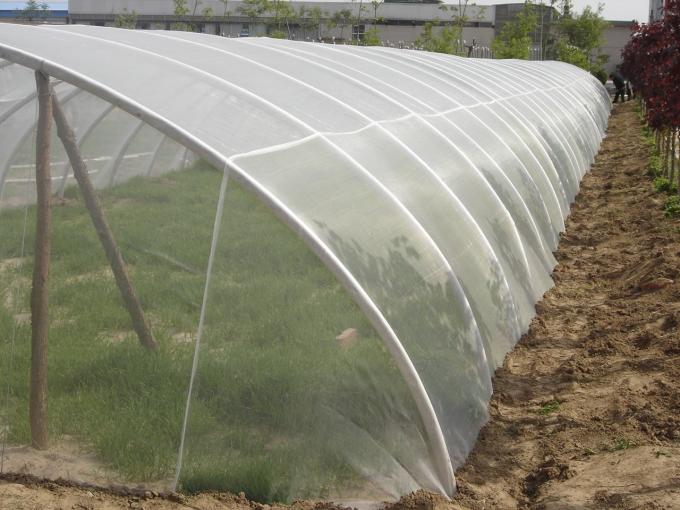 insect proof net