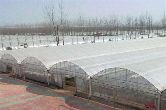 Agriculture Hail Protection Netting For Vegetable Greenhouse Tunnel Farming