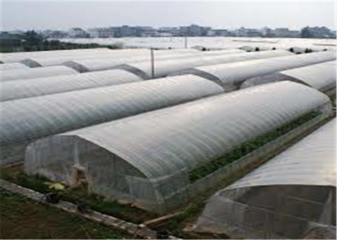 Anti - Aphids Insect Mesh Netting 50*25 Mesh 100% HDPE Materials