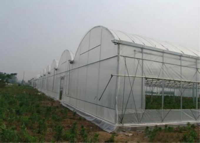 Vegetables Greenhouses Insect Mesh Netting，Fruit Tree Insect Proof Cover Netting