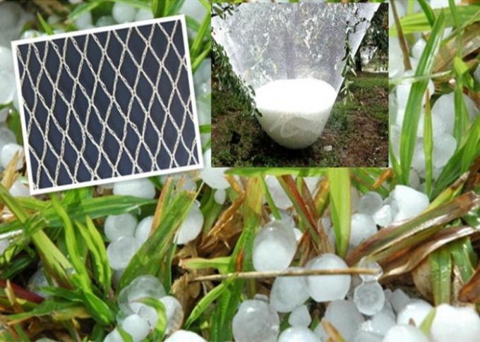 HDPE Single Filament Insect Mesh Netting For Nursery Pots Size Customized