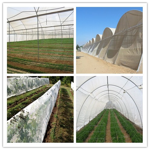 Agricultural 60 Mesh Insect Proof Garden Netting HDPE Plastic Materials