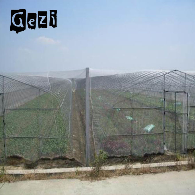 60 Mesh Insect Mesh Netting 1.3 * 1.3mm Water Resistance For Blocking Light