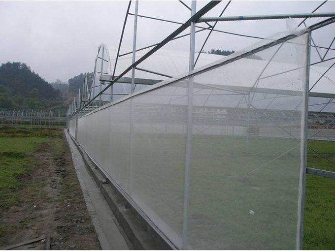 25 * 50 Mesh Aging Resistance Fly Screen Mesh , Pest Control Insect Wire Mesh