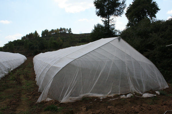 Yellow Anti Insect Screen , Greenhouse Agricultural Insect Net Customized Size