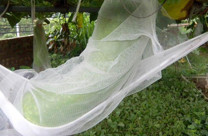 55gsm Anti Bird Insect Mesh Netting 100% HDPE Waste Disposal 100 Meters