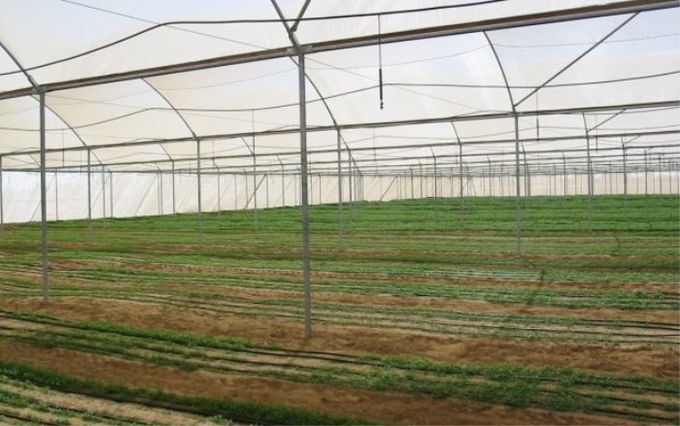Customized Insect Mesh Netting In Seedling - Raising Process 48% Porosity