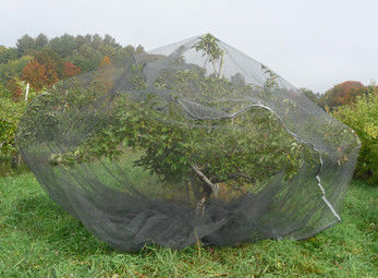 Professional Insect Screen Mesh For Crop Protection 10x10 / 25x25 Size