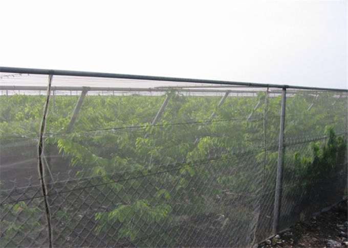 Professional Insect Mesh Netting 1-10 M Width For Greenhouse Covering