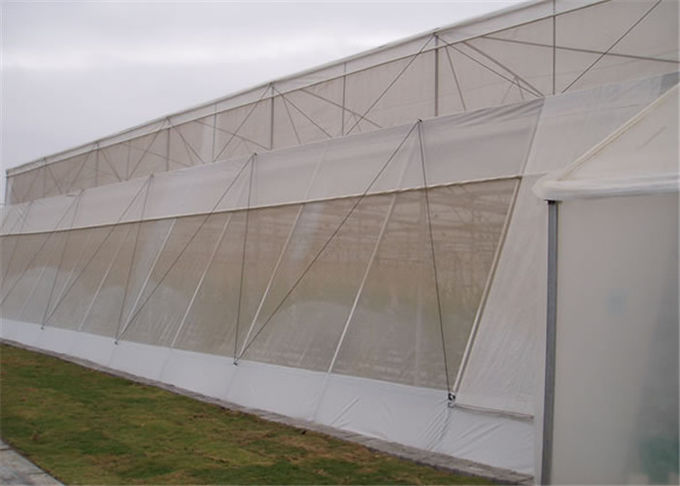 HDPE Insect Proof Garden Netting / Anti Hail Net ISO Certification