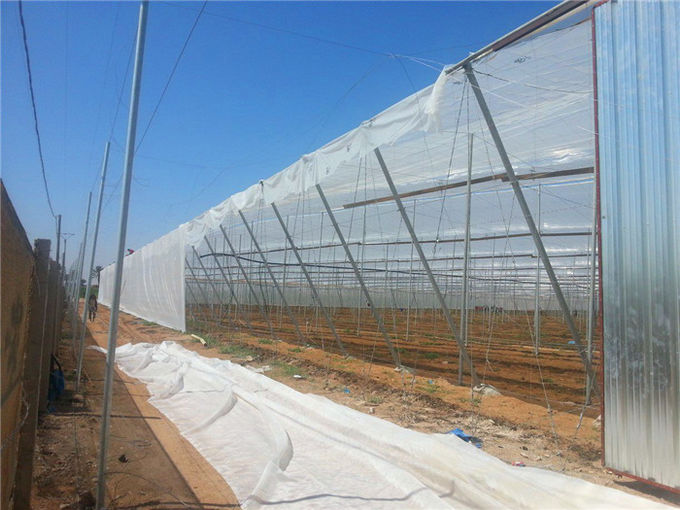Greenhouse Netting Anti Fly Insect Net For Vegetable Gardens