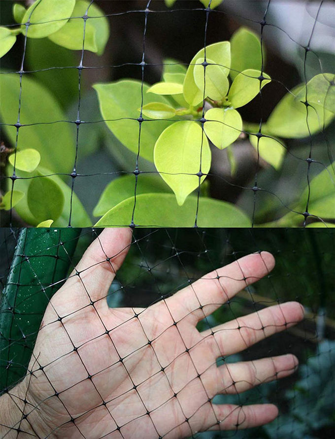 3/4'' Mesh Size Insect Mesh Netting Anti Bird Net Tough Deer Fence 2 Meter Width