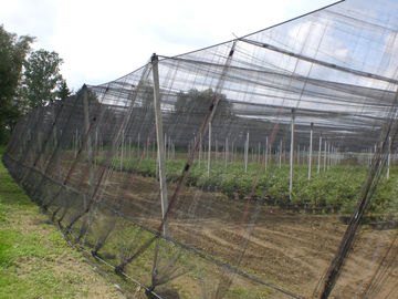 China High Tensile Strength insect netting for greenhouse Black 0.6 * 0.6mm ISO 9001 supplier