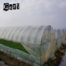 China Aging Resistance Screen Mesh Net For Greenhouse 0.8 * 0.8mm 30 mesh supplier