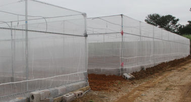 China Custom Color Insect Mesh Netting For Greenhouse High Tensile Strength supplier