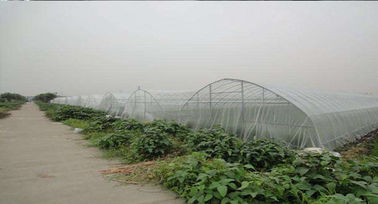 China 45gsm White Insect Mesh Netting For Anti Bees Agricultural Greenhouse supplier