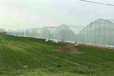China Greenhouse Insect Mesh Netting , Mosquito Net Window Screen ISO9001 Listed supplier