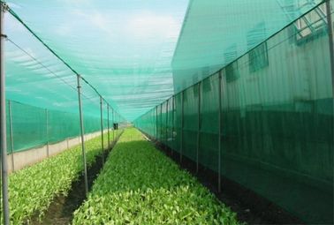 China Farm Solution Nets, Crop Solution Netting, 30Mesh, 40Mesh, 50Mesh, Anti Insect Netting supplier