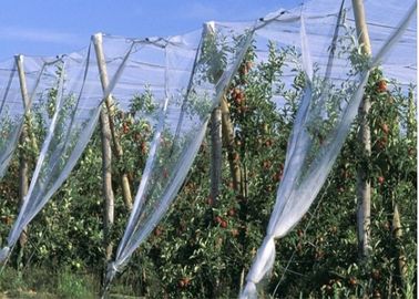 China HDPE Single Filament Insect Mesh Netting For Nursery Pots Size Customized supplier