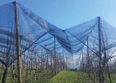 China UV Treated Virgin HDPE Insect Mesh Netting Fabric 15 Years Guarantee supplier