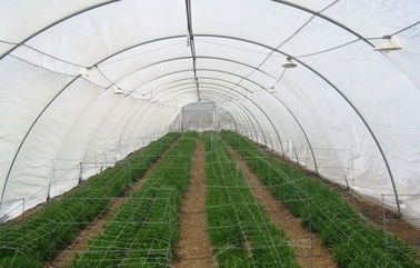 China High Performance Greenhouses Insect Mesh Netting 48% Porosity Easy Installation supplier