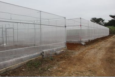 China High Density Polyethylene Monofilament Yarns Anti Insect Nets For Greenhouse supplier
