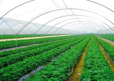 China Lightweight Garden Insect Mesh Netting , Outdoor Mosquito Netting supplier