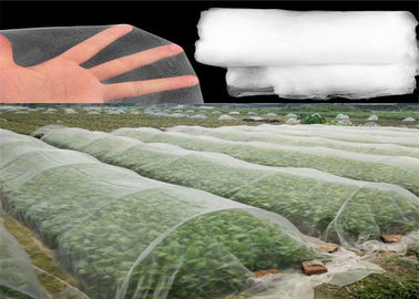 China Hdpe Material Insect Mesh Netting White Color For Young Vegetable Crops supplier