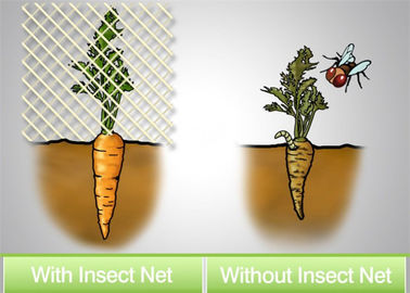 China Application Of Insect Nets The Use Of Insect-Proof Nets To Artificially Construct Barriers To Reduce The Occurrence supplier